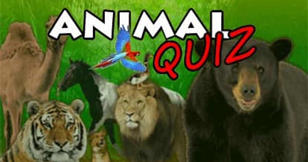 Animal Quiz Jeu En Ligne Gratuit Jouerjouer Com