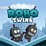 Robo Twins