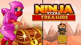 Ninja Vital Treasure