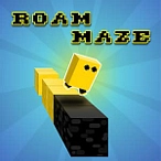 Roam Maze